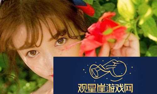 成品网站1688入口网页版怎么进-热评不断|这效率提升不是一星半点！