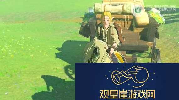 塞尔达传说王国之泪独角仙获取位置及详细攻略解析