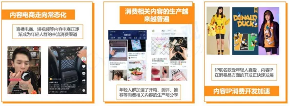 91成年人免费视频|最新动态与用户反馈畅享多样化成人内容体验提升观看乐趣与互动性