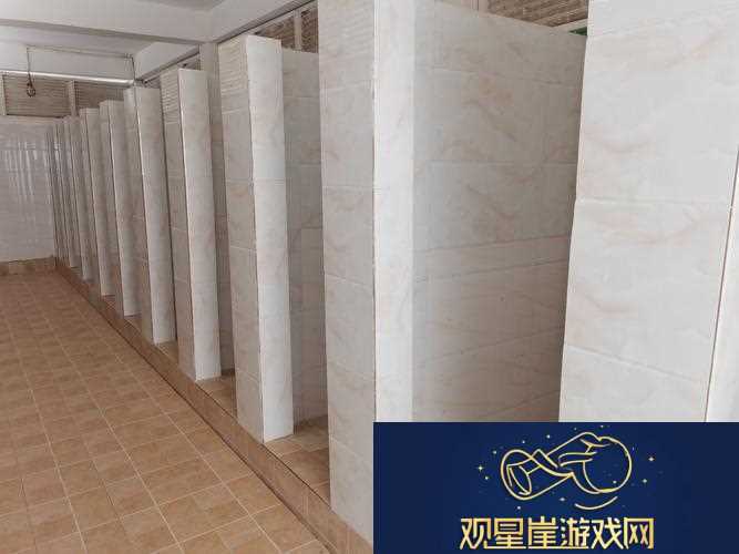 “考砸变厕神-笑谈科技圈|论‘学屎’的逆袭”
