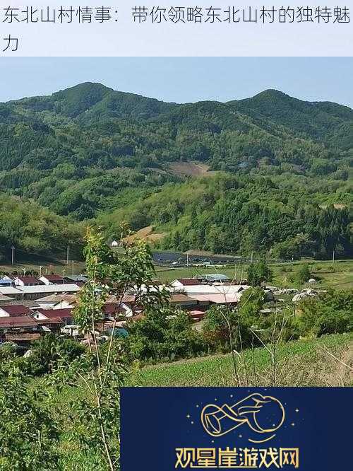 东北山村情事|带你领略东北山村的独特魅力