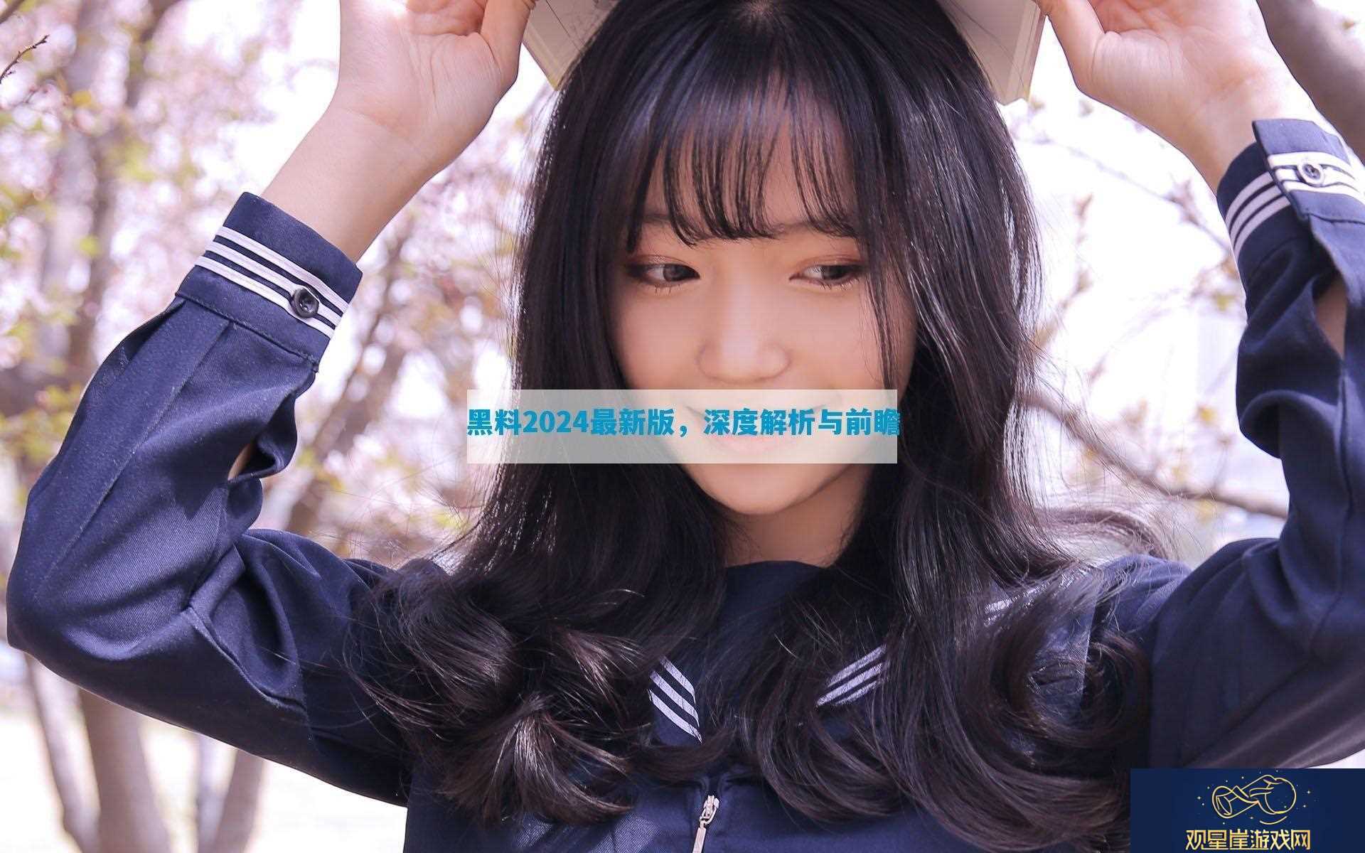 黑料2024最新版-深度解析与前瞻