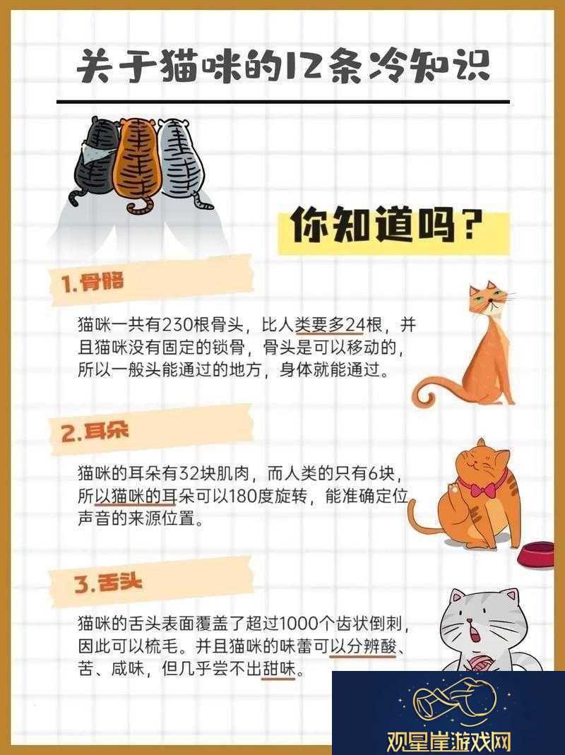 泡泡女神升星必备材料获取攻略大全|从新手到进阶的全面指南