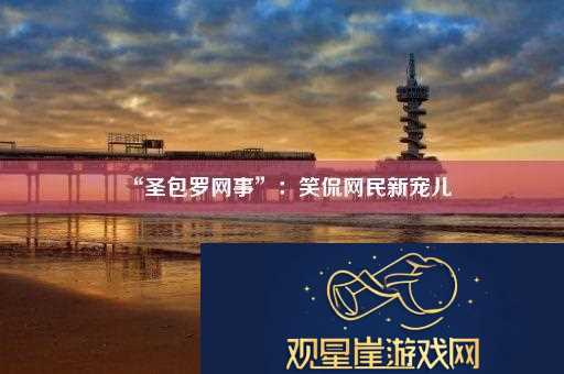 “圣包罗网事”|笑侃网民新宠儿