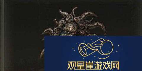 艾尔登法环dlc燃炉面具怎么得|团队副本的核心策略