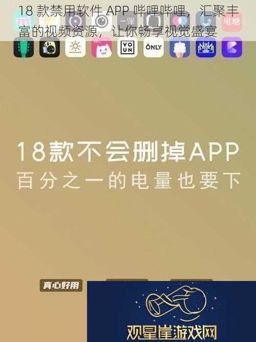 18-款禁用软件-APP-哔哩哔哩-汇聚丰富的资源-让你畅享视觉盛宴