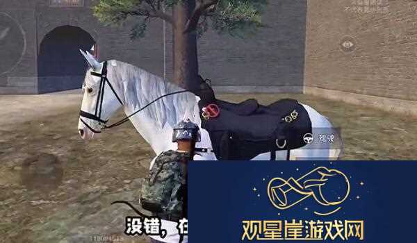 和平精英在哪骑马-骑马位置一览康乐