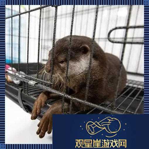 养宠新潮流-未来动物星探秘|蟑螂逆袭记