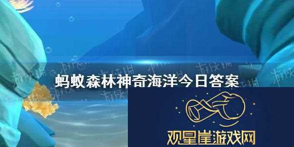 哪种海洋鱼类别名闪光鱼眼皮底下有两盏眼灯-神奇海洋12月8日答案