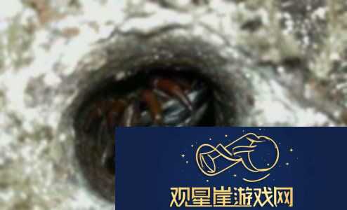 恐怖奶奶蜘蛛攻略|专业打法技巧分享