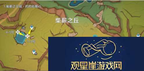 原神5.1灼灼彩菊在哪刷新-灼灼彩菊怎么快速找到