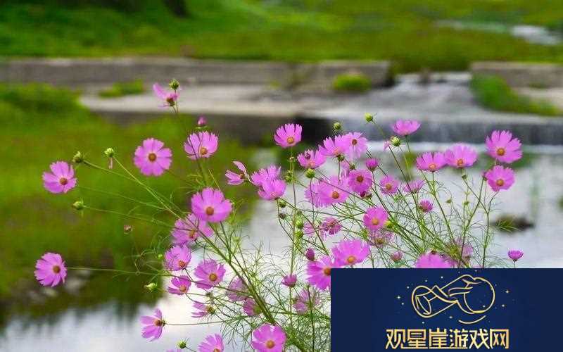后粉苏晶体结构iso-友|探索晶体世界的奥秘